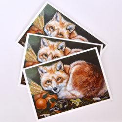 Fox In The Forest Notecards